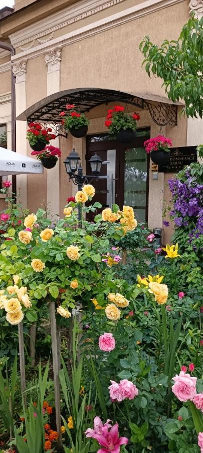 Отель Casa Domneasca Rarau Кымпулунг-Молдовенеск Экстерьер фото
